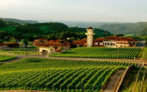 Imagem de um parreiral de uvas com uma construção antiga e ao fundo e morros verdes.